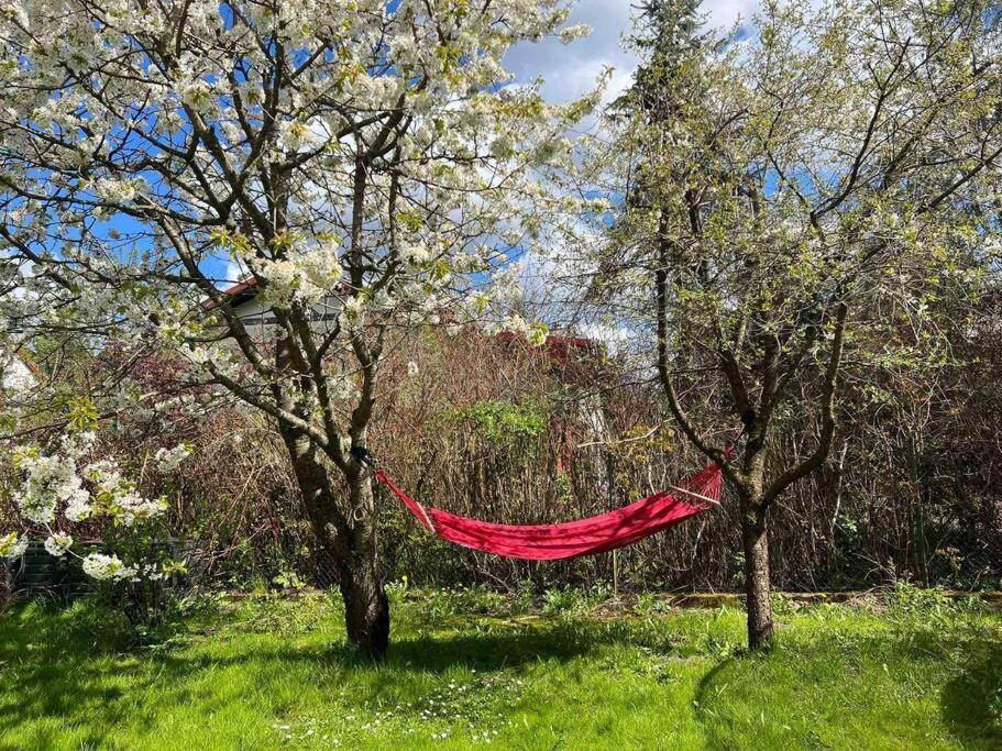 Apartament W ,Chlewiku” Gołdap エクステリア 写真